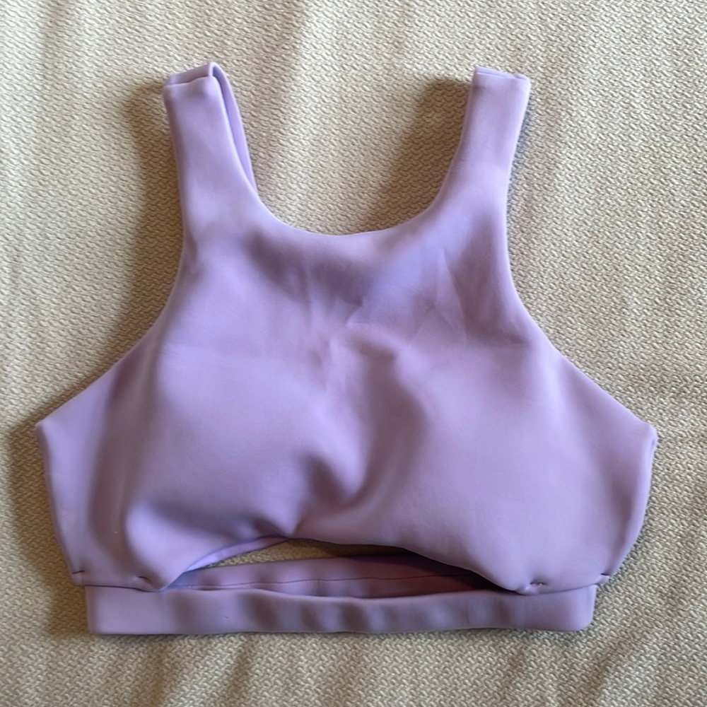 Cleo Harper sports bra